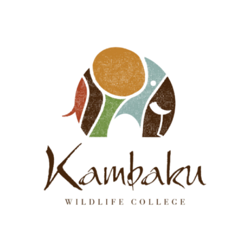 Kambaku