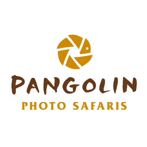 Pangolin Photo Safaris