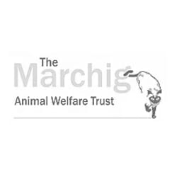 Marchig Marchig