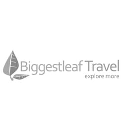 Biggest Leaf Biggest Leaf
