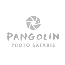 Pangolin Photo Safaris Pangolin Photo Safaris