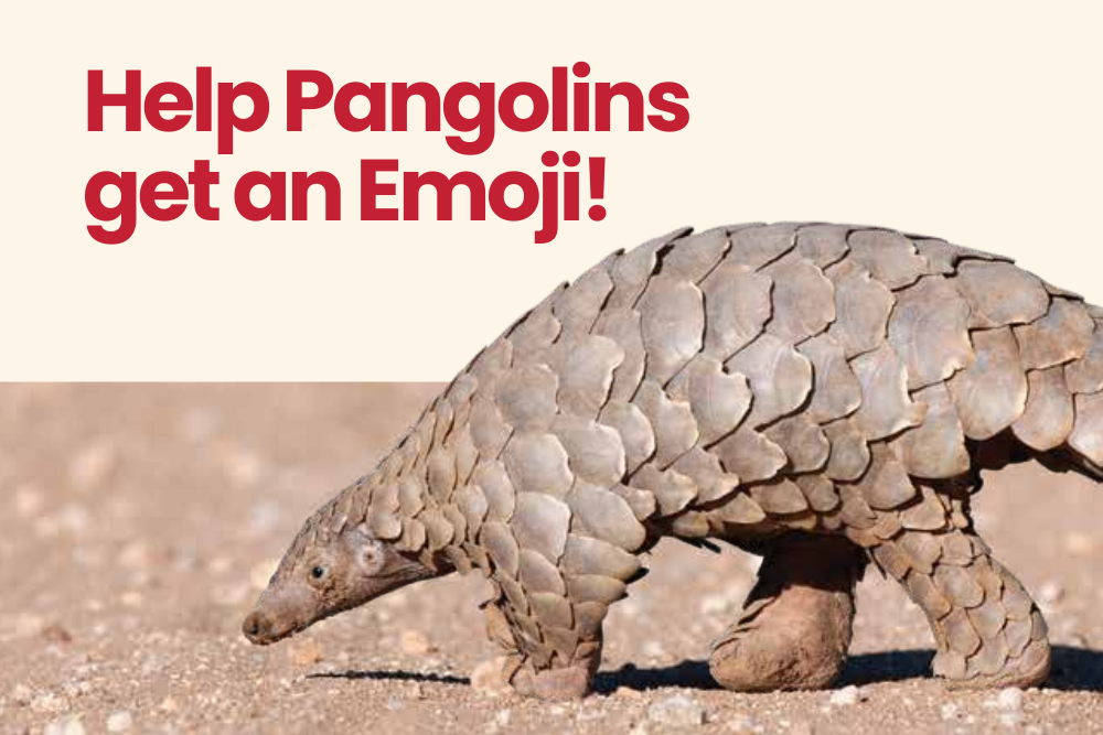 Pangolin Africa - Emoji Campaign